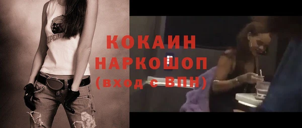 индика Белокуриха