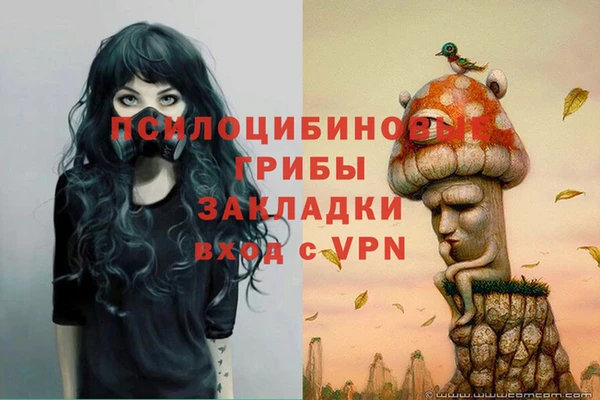 синтетический гашиш Балахна