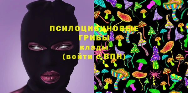 spice Баксан