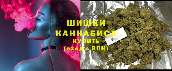 индика Белокуриха